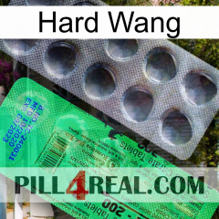 Hard Wang new04